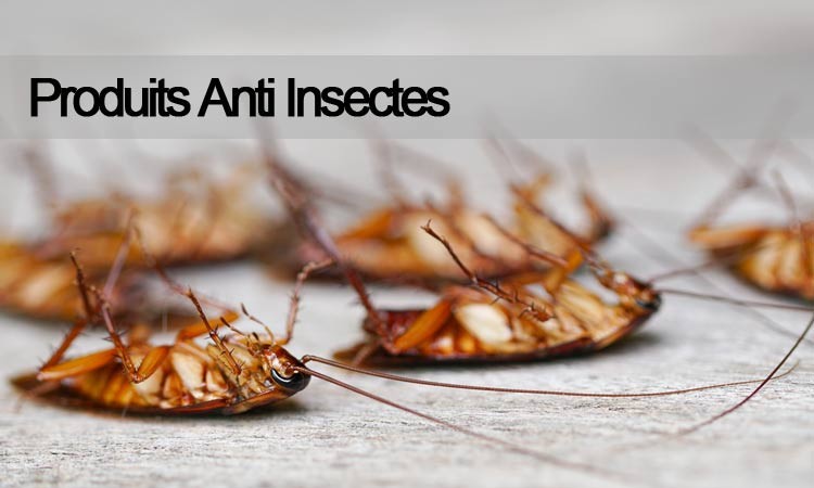 Aérosol terre de Diatomée anti insectes rampants - Shop Nuisibles